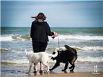 Se pueden pasear perros por las playas?