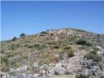 Segons La Ribera en Bici: Necessitem un Pla Forestal Valenci
