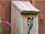 SEO BirdLife lanza una campaa en la que invita a crear 'Jardines con aves, ciudades con vida'