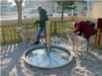 Sueca obri el seu primer espai de convivncia de gossos