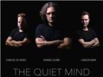 The Quiet Mind, concert de Dani Flors a Sueca