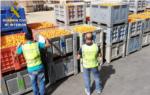 Tres detenidos por la sustraccin de ms de 5.000 kilos de naranjas en Alzira, Algemes y Riola