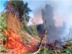 Un incendi afecta vora 2.000 metres de canyar al marge del Riu Xquer a Carcaixent