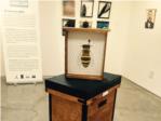 Un mundo sin abejas en el Museu de la Festa dAlgemes
