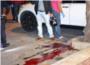 Asesinan a un hombre de un disparo en la cabeza en Fuengirola