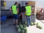 5 personas implicadas en la sustraccin de 9.000 kg de sandas en Cullera