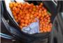 La Polica Local de Turs detiene a dos personas intentando robar 465kg de naranjas