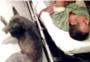 Un perro viaja 15 kilmetros agarrado al parachoques de una ambulancia para no dejar solo a su dueo