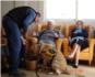 La Residencia 'Carmen Pic' del IVAS de Alzira participa en un proyecto de terapia canina