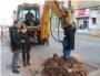Sueca inicia els treballs per a la replantaci darbres en Bernat Alio i Pas Valenci