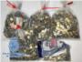 La Polica Nacional descubre en Madrid tres talleres de fabricacin de monedas de dos euros falsas