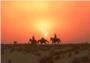Centauros del desierto, historia de una obsesin