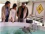 Investigan la deteccin acstica de tortugas marinas