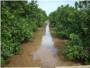 La falta de lluvia obliga a los agricultores de la Ribera a regar como si fuera verano