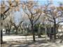 Almussafes invertix 127.000 euros en la remodelaci del parc del Sagrari