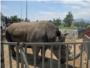 El PP-PSD rechazan la mocin para que Carcaixent deje de permitir animales en los circos