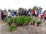 Benifai celebra el Da Mundial del Medio Ambiente con la plantacin de 40 pinos