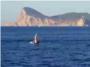 El vagabundo de Cullera logra su sueo de llegar a Ibiza