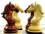 El ajedrez cuenta con numerosos seguidores en Almussafes