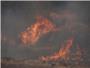Un incendio en Alzira, al parecer intencionado, arrasa un solar lleno de escombros y parte de monte junto a la Muntanyeta