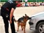 La polica de Alberic usa su unidad canina contra el consumo de drogas en la escuela
