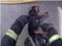 Bomberos de Crdoba salvan la vida a un perro inconsciente en un incendio