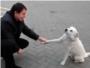 Conmovedora reaccin de un perro callejero cuando recibe el cario de un desconocido