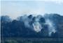 Controlat rpidament un incendi de vegetaci a Alberic, en la zona de la urbanitzaci Balc del Xquer