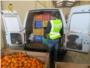 Dos persones detingudes per la venda illegal de 135.000 kg de taronges i de caquis a la Ribera Alta