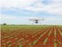 El CSIC innova en la deteccin temprana de malas hierbas mediante drones