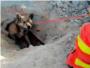 Els bombers rescaten un pastor alemany que qued atrapat dins d'una squia a Cullera
