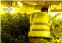 La Guardia Civil desmantela 3 puntos de cultivo y elaboracin de marihuana en Turs
