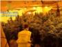 La Guardia Civil detiene a dos personas por trfico de drogas y defraudacin de fluido elctrico en Carcaixent