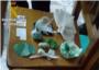 La Gurdia Civil det a 4 persones per trfic de drogues al detall en Cullera