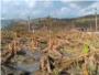 La hambruna se cierne sobre Hait tres meses despus del paso del huracn Matthew
