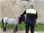 La Polica Local de Sueca actua davant la presncia d'un cavall en les vies del tren