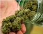La Polica Nacional desarticula un grupo criminal en Alzira dedicado al cultivo y venta de marihuana