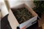 La Policia Nacional det a un home a Alzira, amb antecedents policials, per distribuir marihuana