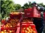 LA UNI denuncia la venda de taronges procedents de Sud-frica en una cadena de supermercats