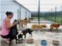 L'Alcdia participa, junt amb 34 pobles de la Ribera, en el primer refugi pblic d'animals