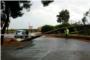 Les fortes pluges provoquen la caiguda d'un pi en la carretera de Cotes a Sumacrcer