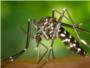 Noves actuacions contra el mosquit tigre i la mosca negra a l'Alcdia