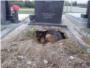 Un perro cava un agujero en la tumba de su amo para estar ms cerca de l