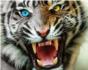 Un tigre de Bengala mata a su domador durante una funcin de circo
