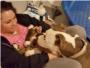 Una pitbull ofrece sus 11 cachorros recin paridos a la mujer que la rescat de la calle