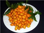 Naranjas de la China