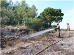 La Policia Local dAlginet evita que els arbres dels arenals es peguen a foc