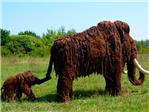 Más cerca de la clonación del mamut que rezuma sangre
