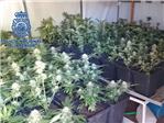 La Polica Nacional desmantela un cultivo de marihuana  en un chalet de Turs