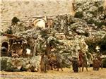 Unas 250 figuras componen el tradicional Beln de Navidad que inauguraron ayer las falleras mayores de Alzira